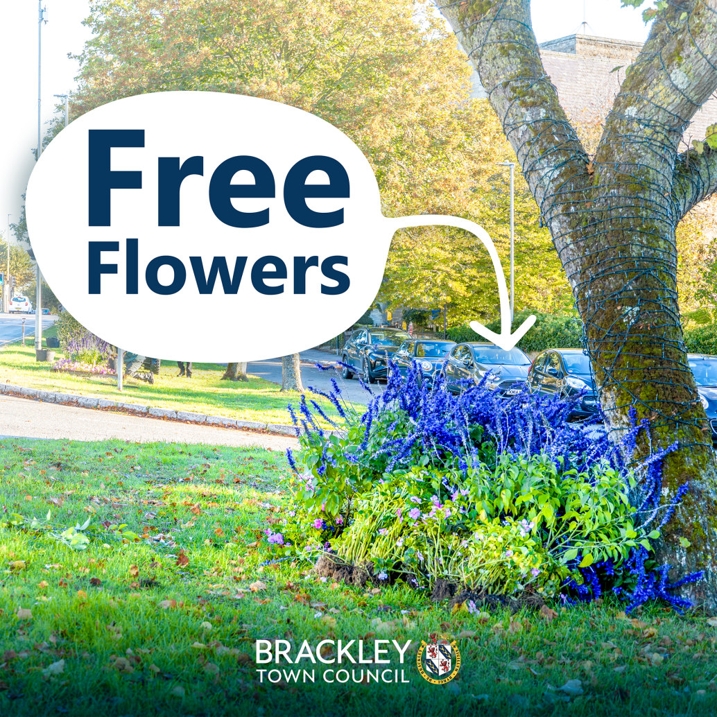 Photo of flowers in Brackley High Street with text that reads 'Free Flowers'. Brackley Town Council centred logo at the bottom of the image.